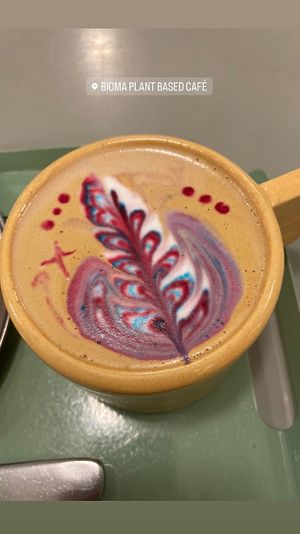 Capuchino arcoíris    at Bioma in Buenos Aires