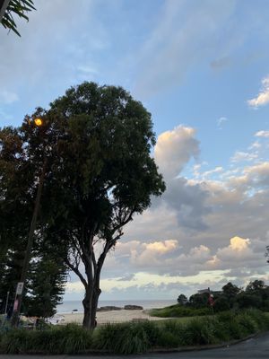 View across the road  at Chop 'n Chill in South West Rocks