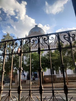 Views from the window seats at Bioloco in Madrid