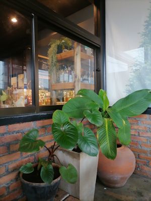  at The Secret Brunch in Koh Samui