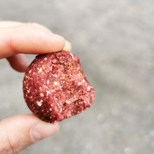  at Sweetly Innocent in Dippoldiswalde