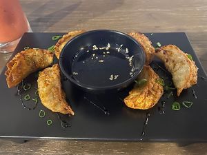 Farm Gyosas at Rock and Rolls Vegan Sushi in Panama City