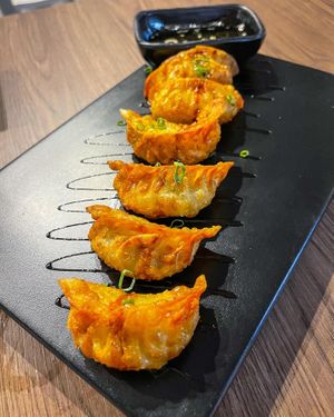 Gyozas  at Rock and Rolls Vegan Sushi in Panama City