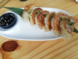 Gyozas at Rock and Rolls Vegan Sushi in Panama City