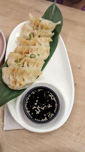 Steamed dumplings (they have an option for fried too FYI) at Rock and Rolls Vegan Sushi in Panama City
