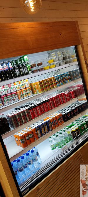 Drinks at Veganissim in Paris