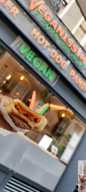 Panini at Veganissim in Paris