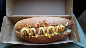 Vegan hot dog with veganaise mustard and pickles  at Veganissim in Paris