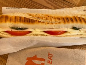 Mozzag panini  at Veganissim in Paris