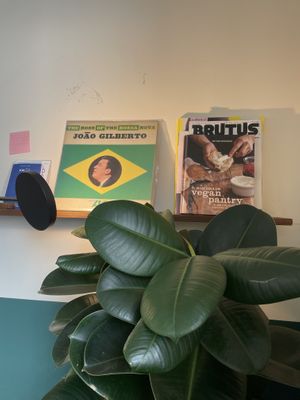 Inside  at O.verte Donuts 오베흐트 도넛 in Seoul