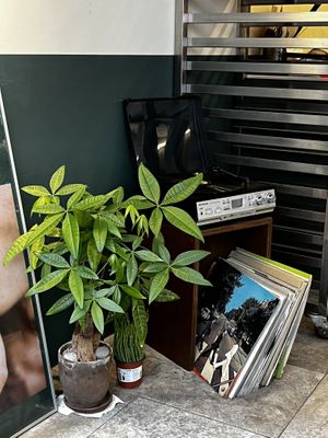   at O.verte Donuts 오베흐트 도넛 in Seoul