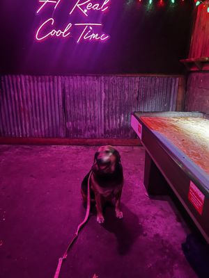 Great outdoor area and dog friendly  at Lily's Snack Bar in Boone