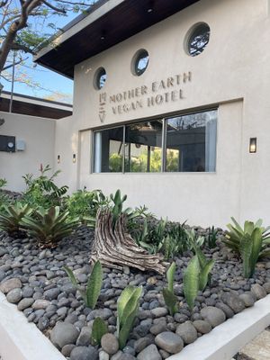 Outside of the hotel  at Mother Earth Vegan Hotel in Tamarindo