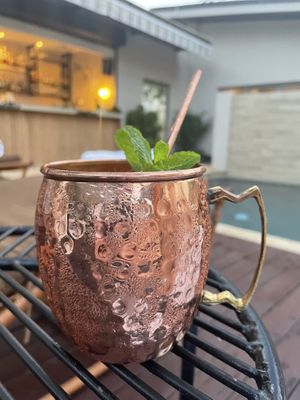 Mango mule at Mother Earth Vegan Hotel in Tamarindo