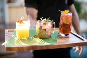  at Mother Earth Vegan Hotel in Tamarindo