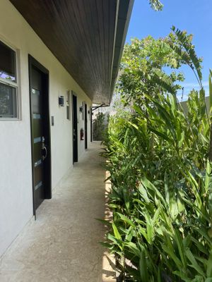   at Mother Earth Vegan Hotel in Tamarindo