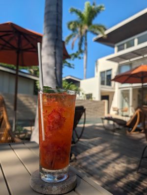  at Mother Earth Vegan Hotel in Tamarindo