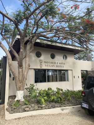 Mother Earth vegan hotel at Mother Earth Vegan Restaurant in Tamarindo