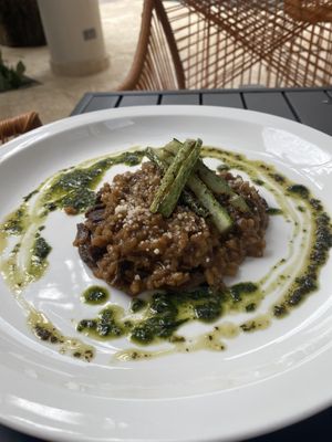Risotto at Mother Earth Vegan Restaurant in Tamarindo