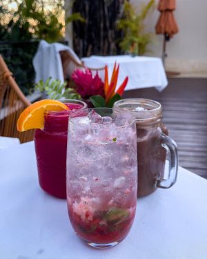   at Mother Earth Vegan Restaurant in Tamarindo