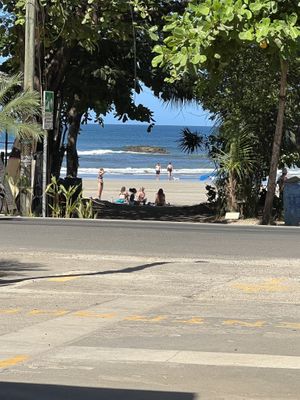   at Mother Earth Vegan Restaurant in Tamarindo