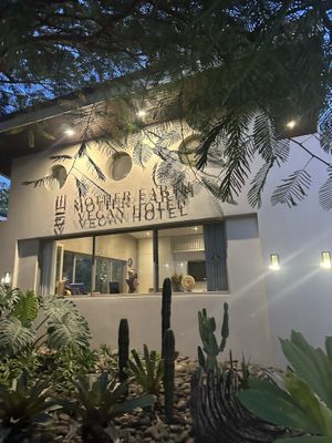   at Mother Earth Vegan Restaurant in Tamarindo