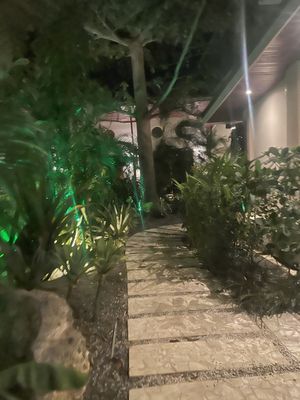   at Mother Earth Vegan Restaurant in Tamarindo