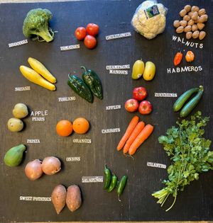 Only $18 at The Produce Project in Raleigh