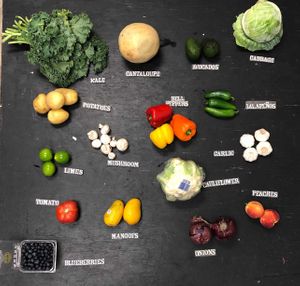 Only $18!! at The Produce Project in Raleigh