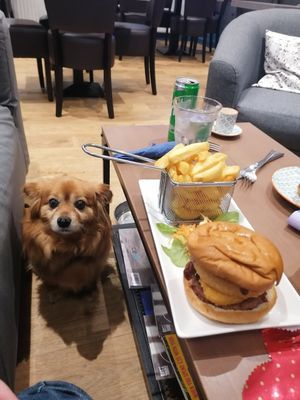  at Harry's Place CIC in Ballynahinch