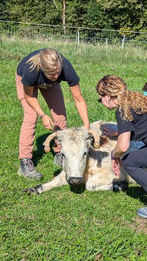  at Veg Society of DC in Washington