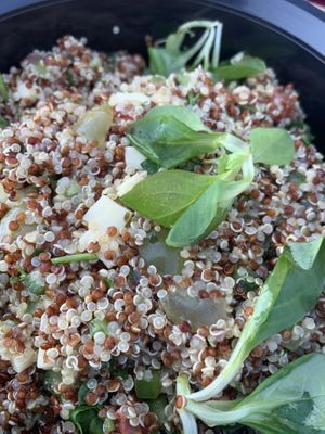 Quinoa salad on a bed of spinach with grape and veggies at Alpino in Paleo Faliro