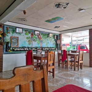  at Italian Carolina in Puerto Jimenez