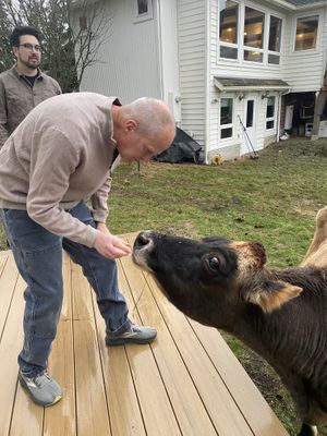 Love this  at Ballydidean Farm Sanctuary in Clinton