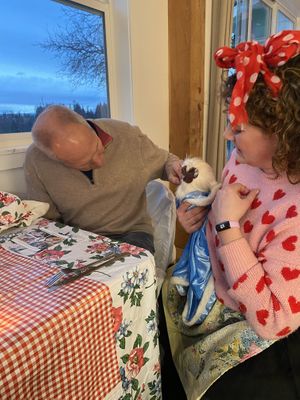 Sweetest rooster ever  at Ballydidean Farm Sanctuary in Clinton
