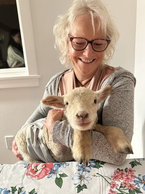 Love this  at Ballydidean Farm Sanctuary in Clinton