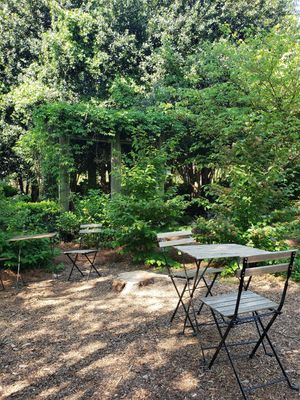  at Rosie's Coffee & Wine Garden in Charlotte