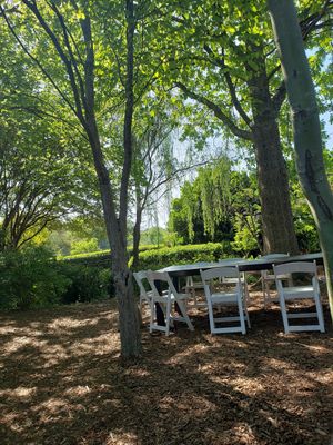  at Rosie's Coffee & Wine Garden in Charlotte