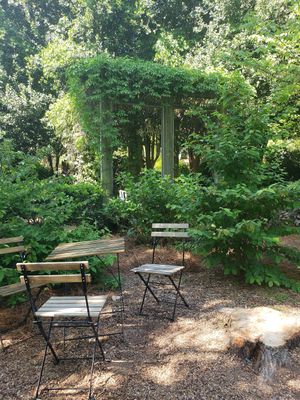  at Rosie's Coffee & Wine Garden in Charlotte