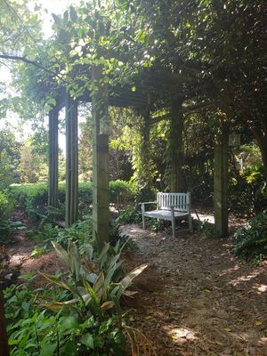  at Rosie's Coffee & Wine Garden in Charlotte