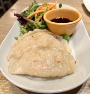 Dragonfly Dumplings  at Red Bamboo in New York City