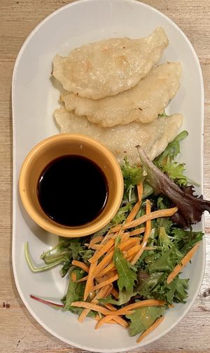 Dragonfly Dumplings  at Red Bamboo in New York City