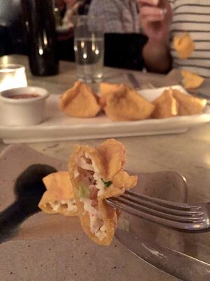 The mock crab wontons were pretty good, though I have never had real crab wontons to compare. at Red Bamboo in New York City