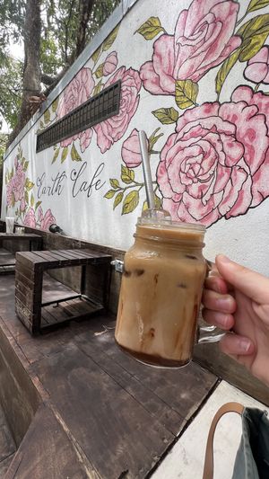   at Earth Cafe in Santa Teresa