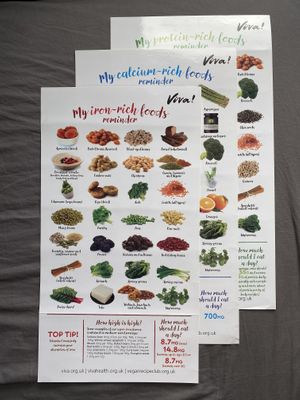 Food info posters  at Viva! in Bristol