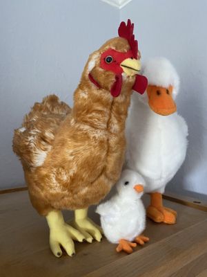 Soft toys I bought from them at a show  at Viva! in Bristol