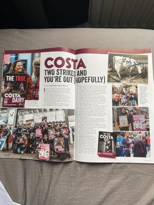 Viva! Life magazine  at Viva! in Bristol