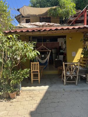   at Café Panchatantra in Mazunte