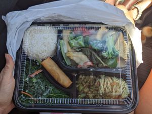 Bento box- main dish was green Thai curry, comes with kale salad, Dan Dan noodles, spring roll and white rice (gluten free and vegan) at Trendy Vegan in Houston