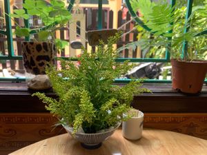 Enjoy the daily routine of locals  at Earth Cafe in Dong Hoi